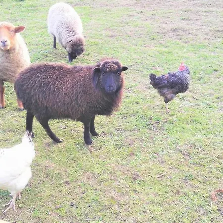 Domaine Du Plessis Grimaud Bed & Breakfast 3*