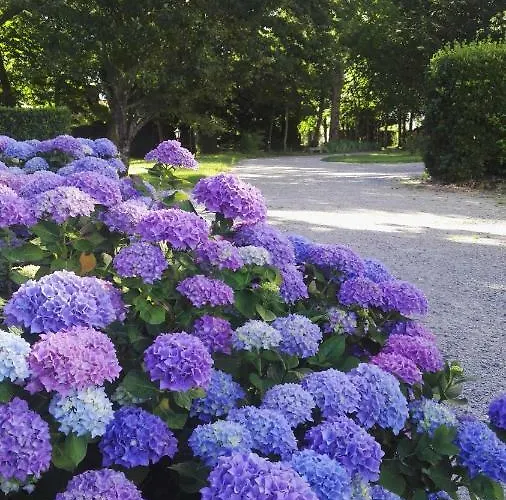 Domaine Du Plessis Grimaud 3* Saint-Viaud