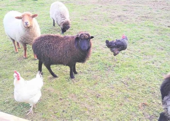 Domaine Du Plessis Grimaud Bed and breakfast 3*