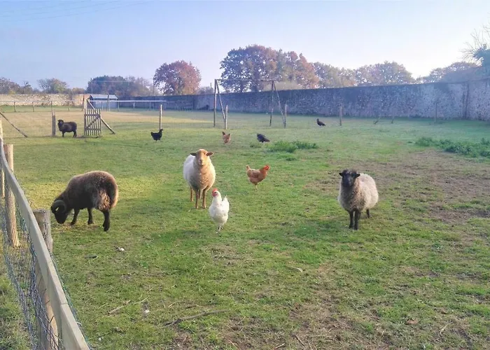 Bed and breakfast Domaine Du Plessis Grimaud 3*